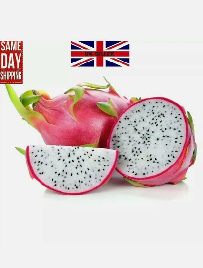 Dragon Fruit FRESH Seeds Pitaya EASY GROW YOUR OWN succulent Cactus Plant Tree