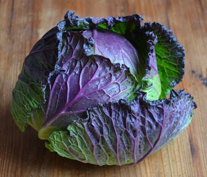 Easy To Grow Your Own King Cabbage Seeds Fresh Vegetables Fruit Herbs Plants