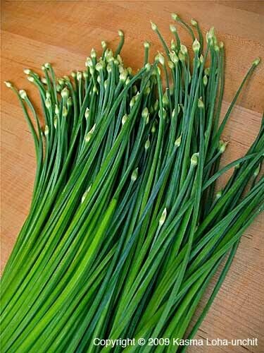 Vegetable Seeds Fresh Herbs Mixed Plants Easy Grow your Own Indoor Outdoor Fruit