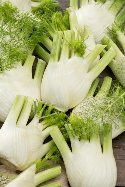 Easy To Grow Your Own SWEET FENNEL Seeds Florence Fresh Vegetables Fruit Herbs