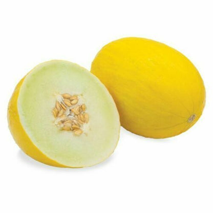 3 PACKS 3 TYPES  MELON SEEDS HONEYDEW GALA CANTALOUPE FRUIT TREE PLANT GROW OWN