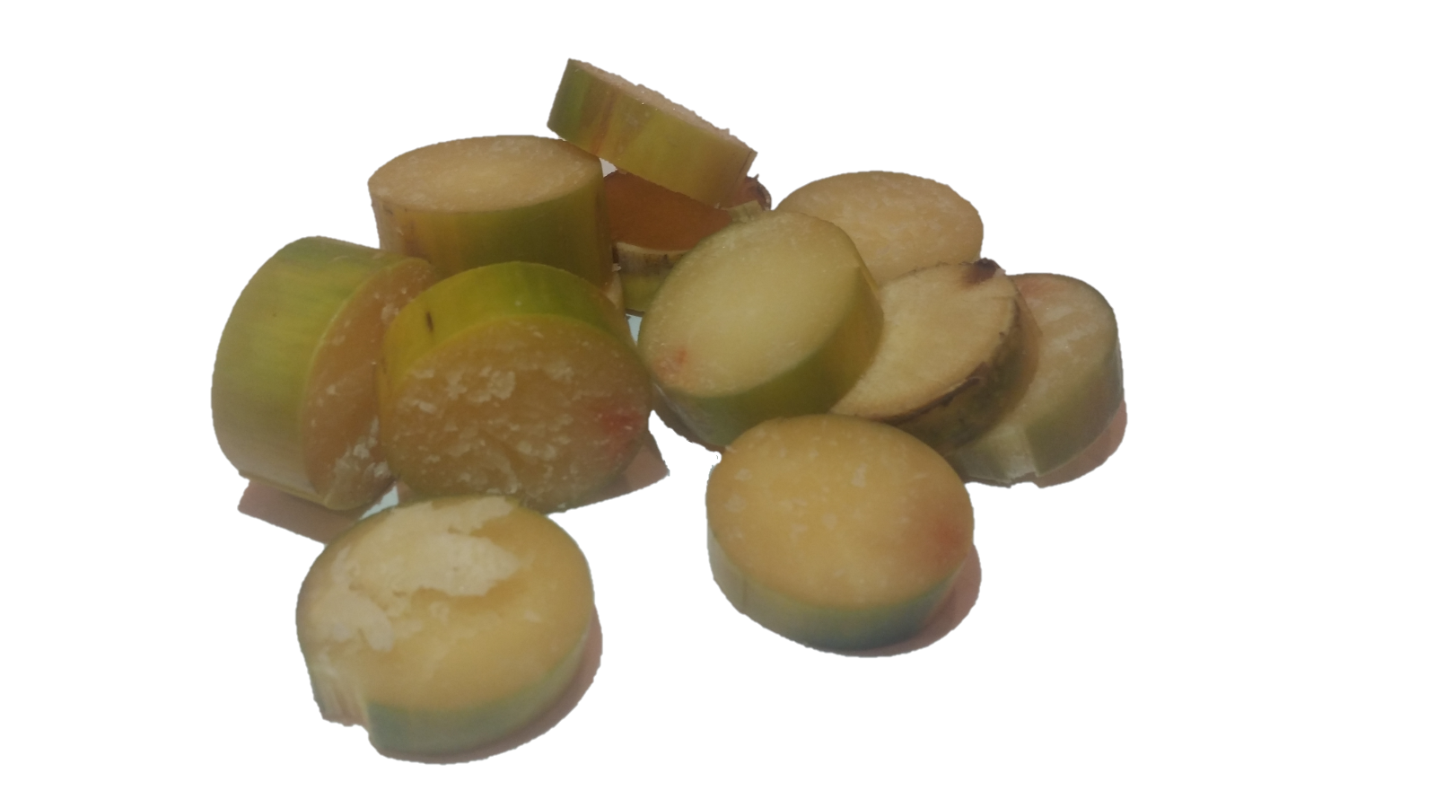 Fresh Sugar Cane For MARMOSET MONKEYS SUGAR GLIDERS PARROT Pet Food Sweet Treat 