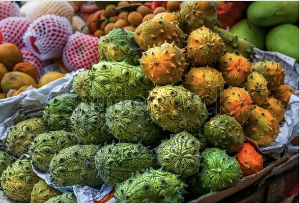 RARE AFRICAN HORNED CUCUMBER MELON KIWANO SEEDS TROPICAL FRUIT PLANT Cucumis