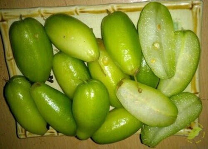 RARE Cucumber Pickle Tree Fruit SEEDS Averrhoa Bilimbi Sorrel Plant Edible