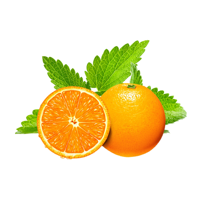 MINT SEEDS RARE pick mix PINEAPPLE ORANGE CHOCOLATE APPLE LEMON Herbs plant 