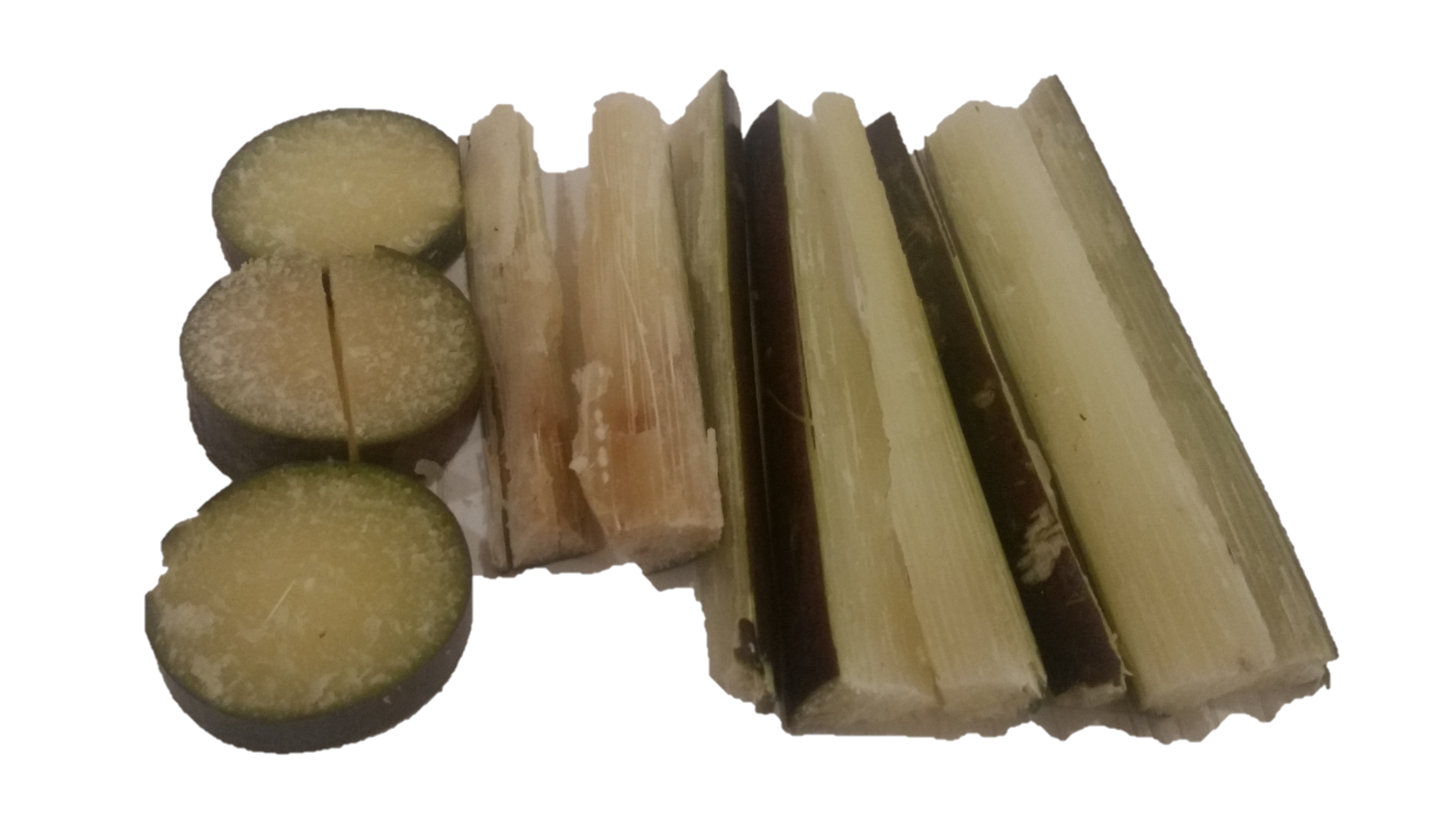 Fresh Sugar Cane For MARMOSET MONKEYS SUGAR GLIDERS PARROT Pet Food Sweet Treat 