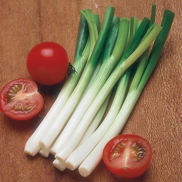 Grow Your Own Salad Spring Onion Ramrod Seeds Fresh Vegetables Herbs