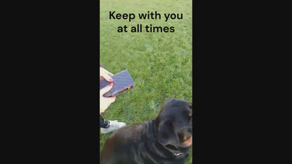 Tick Remover Tool for Dogs Cats, Flea & Lice Comb & Grooming Comb for Pets Pet Pro 8-in-1 Multi-Tool